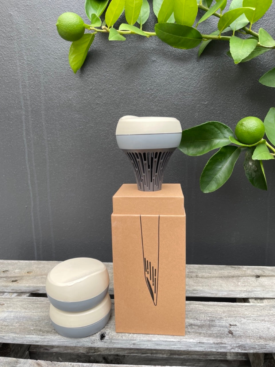 "I'm Perfect" Monty Monitor