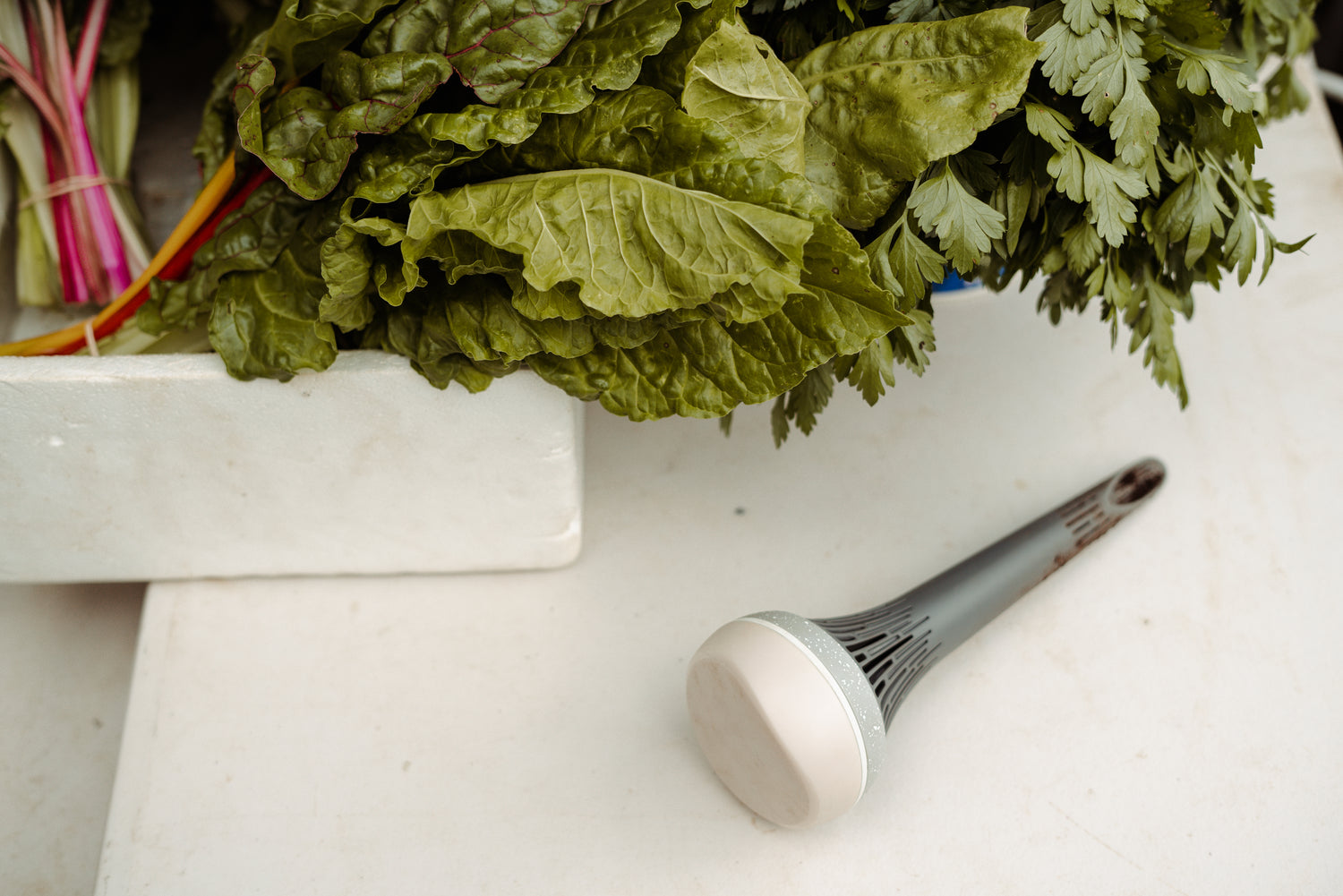 What do the lights on Monty Monitor mean?