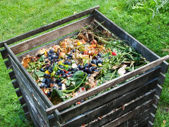 How Compost Can Solve The Climate Crisis