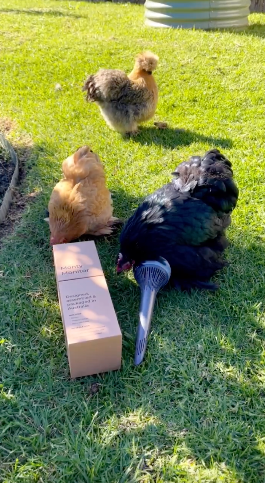 Simplifying Chicken Composting with Monty Monitor